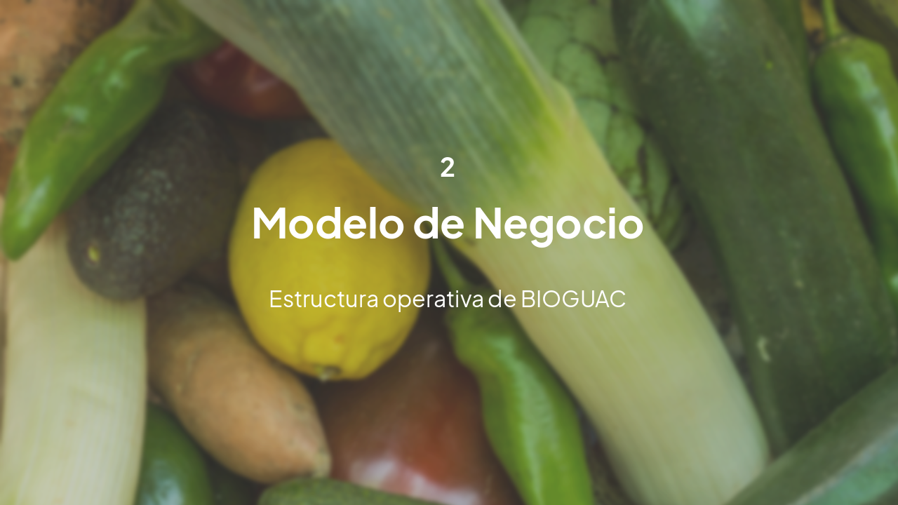 Slide 5 - Modelo de Negocio