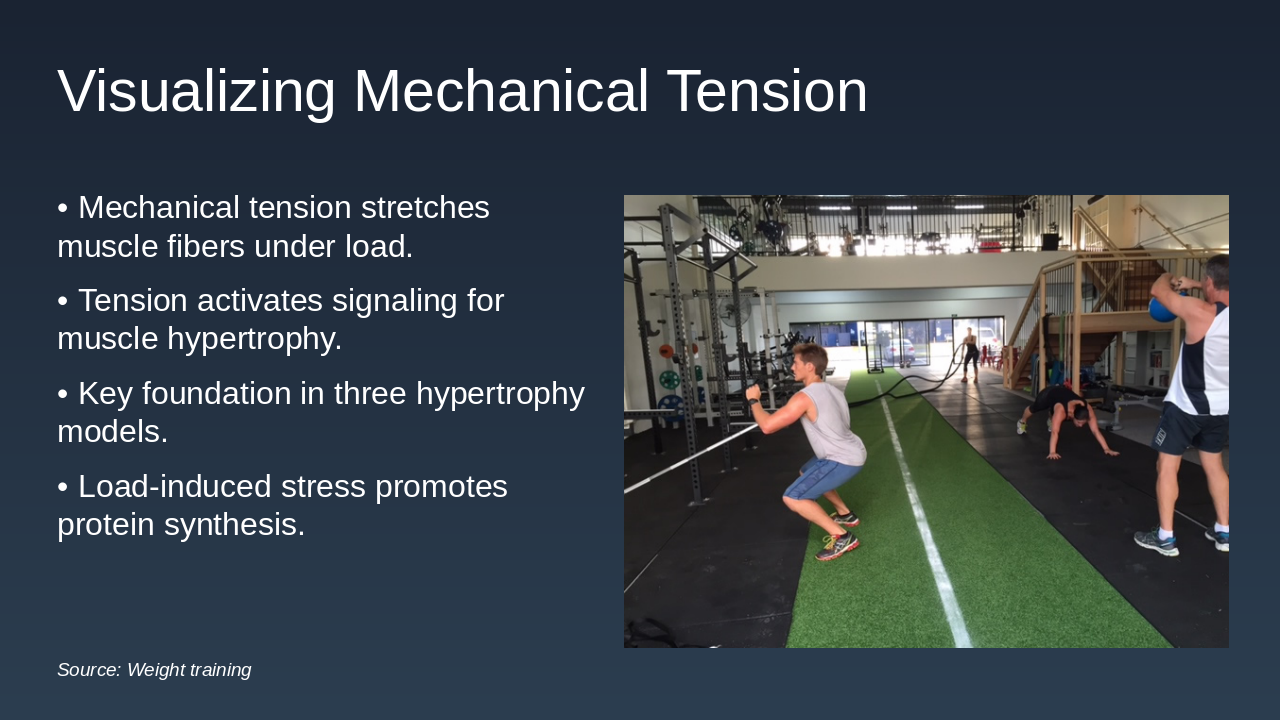 Slide 5 - Visualizing Mechanical Tension