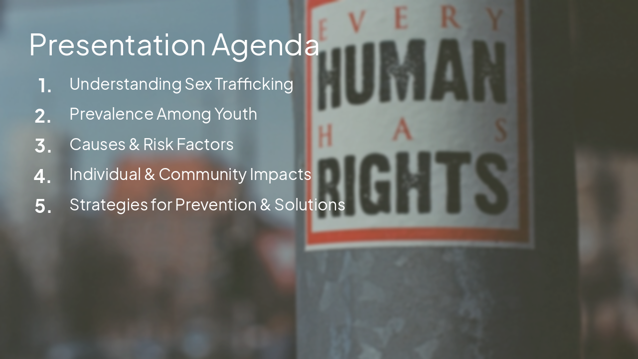 Slide 2 - Presentation Agenda