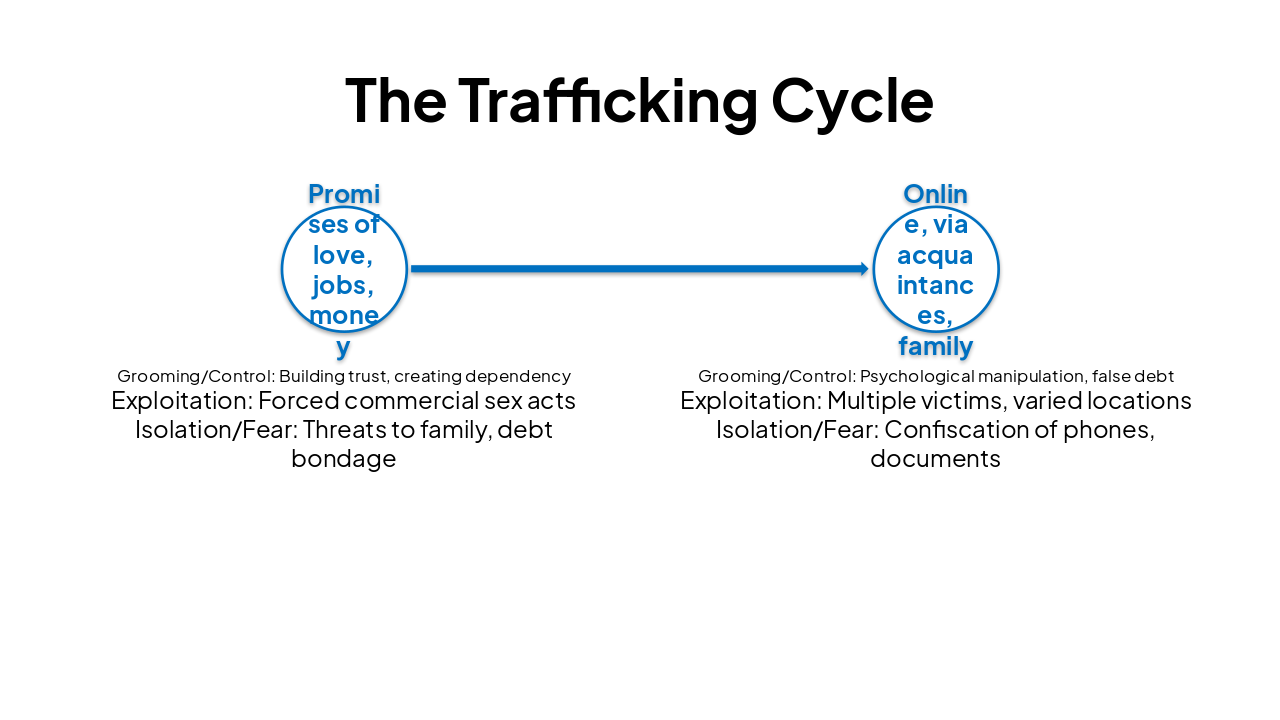 Slide 14 - The Trafficking Cycle