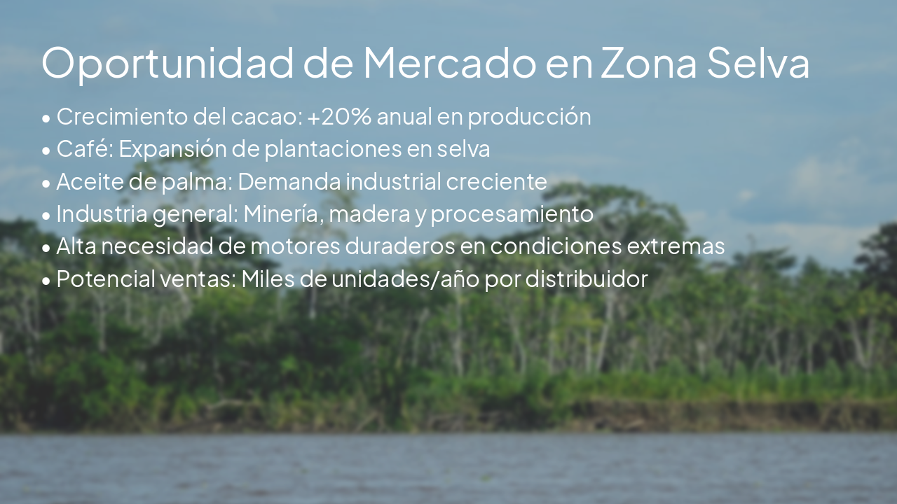 Slide 8 - Oportunidad de Mercado en Zona Selva