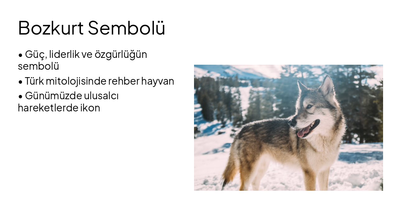 Slide 5 - Bozkurt Sembolü