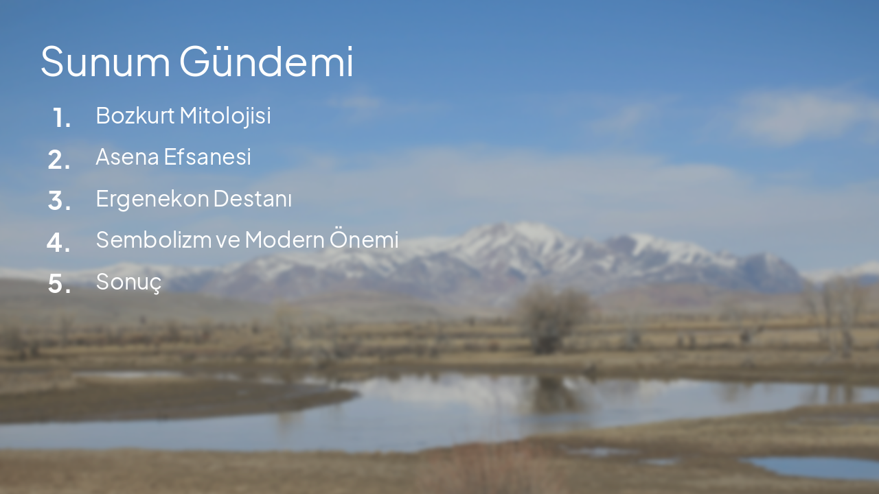 Slide 2 - Sunum Gündemi
