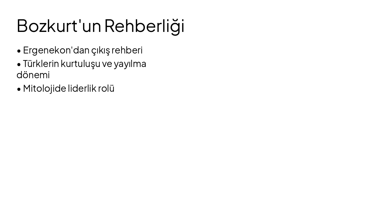 Slide 11 - Bozkurt'un Rehberliği