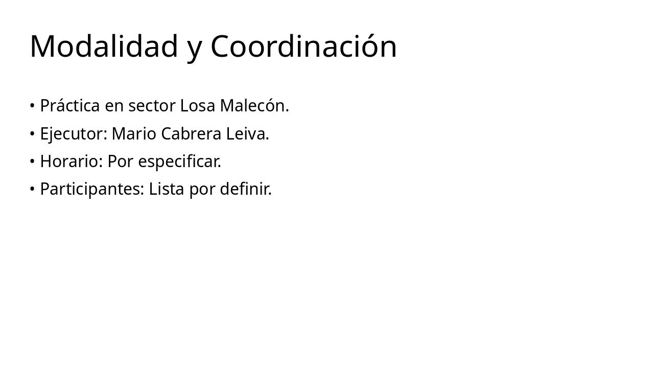Slide 4 - Modalidad y Coordinación