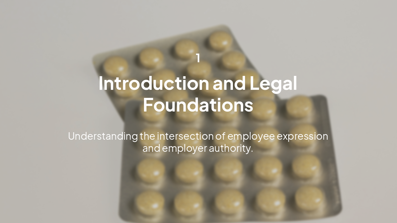 Slide 3 - Section 1: Legal Foundations