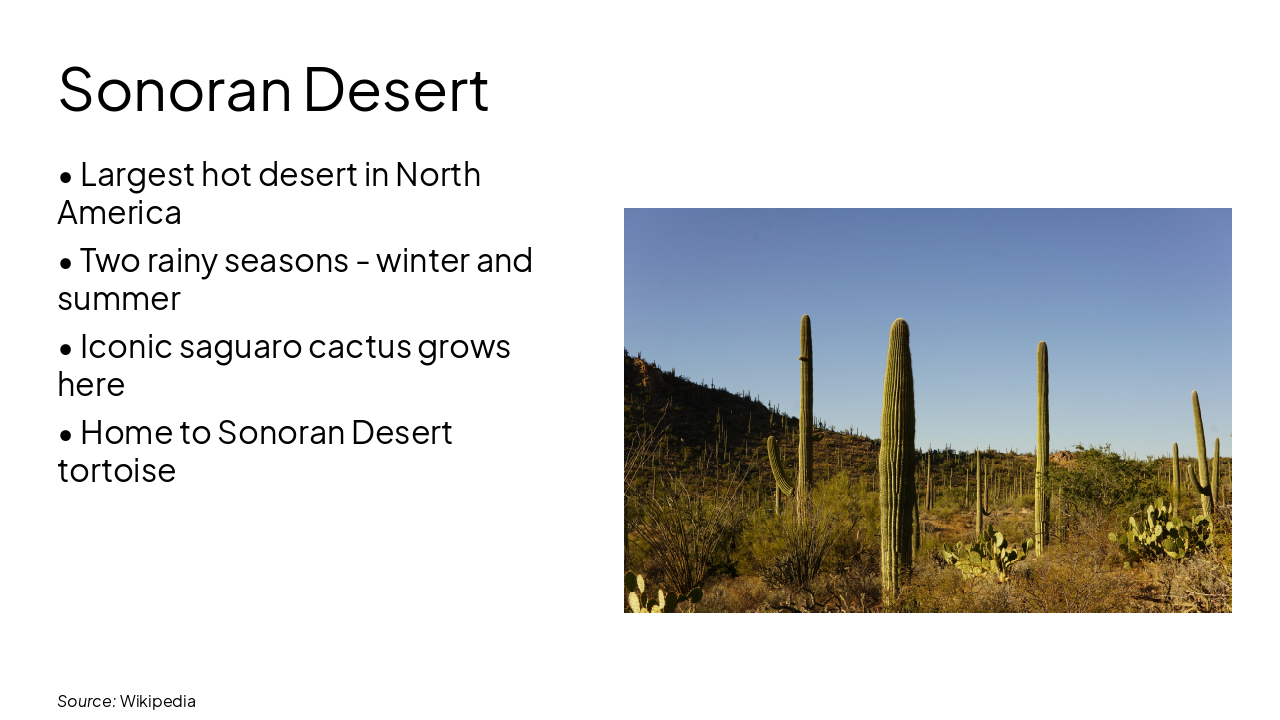 Slide 5 - Sonoran Desert