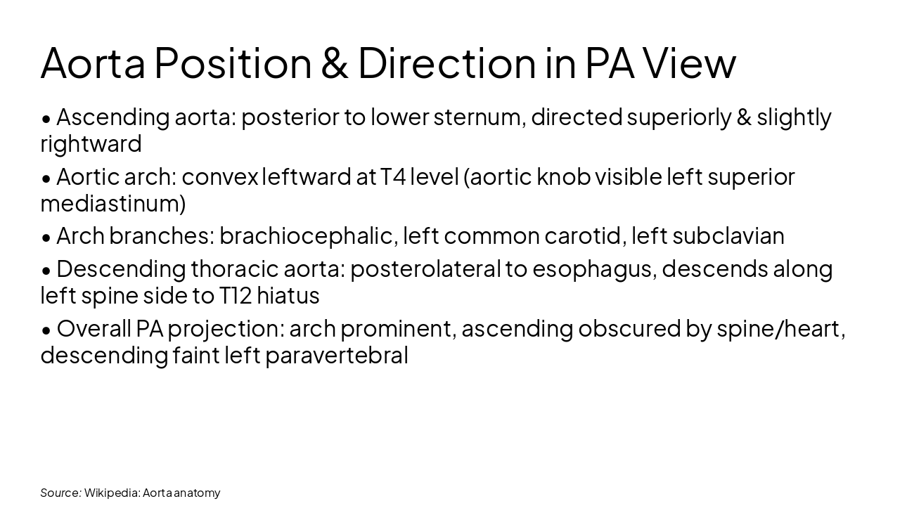 Slide 4 - Aorta Position & Direction in PA View
