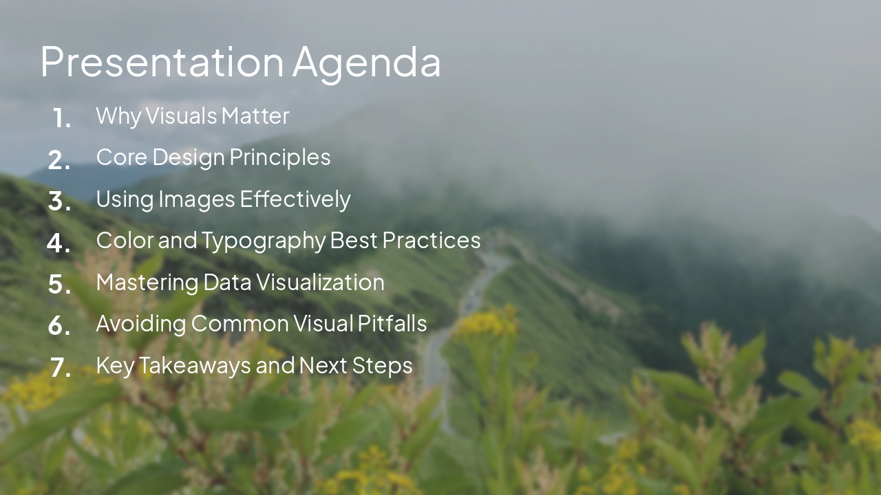 Slide 2 - Presentation Agenda