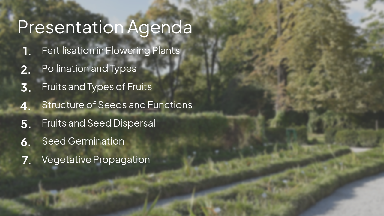 Slide 2 - Presentation Agenda