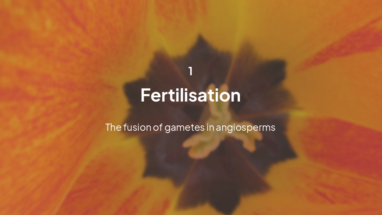 Slide 3 - Sexual Reproduction Begins