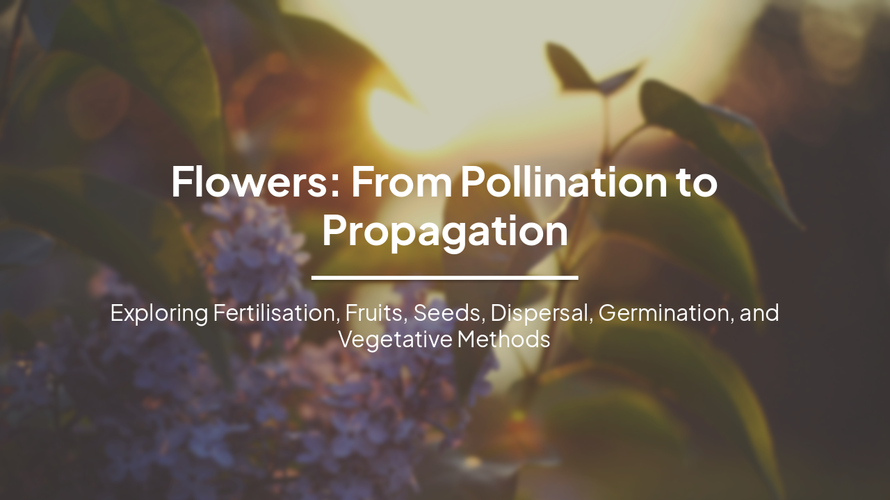 Slide 1 - Flowers: From Pollination to Propagation