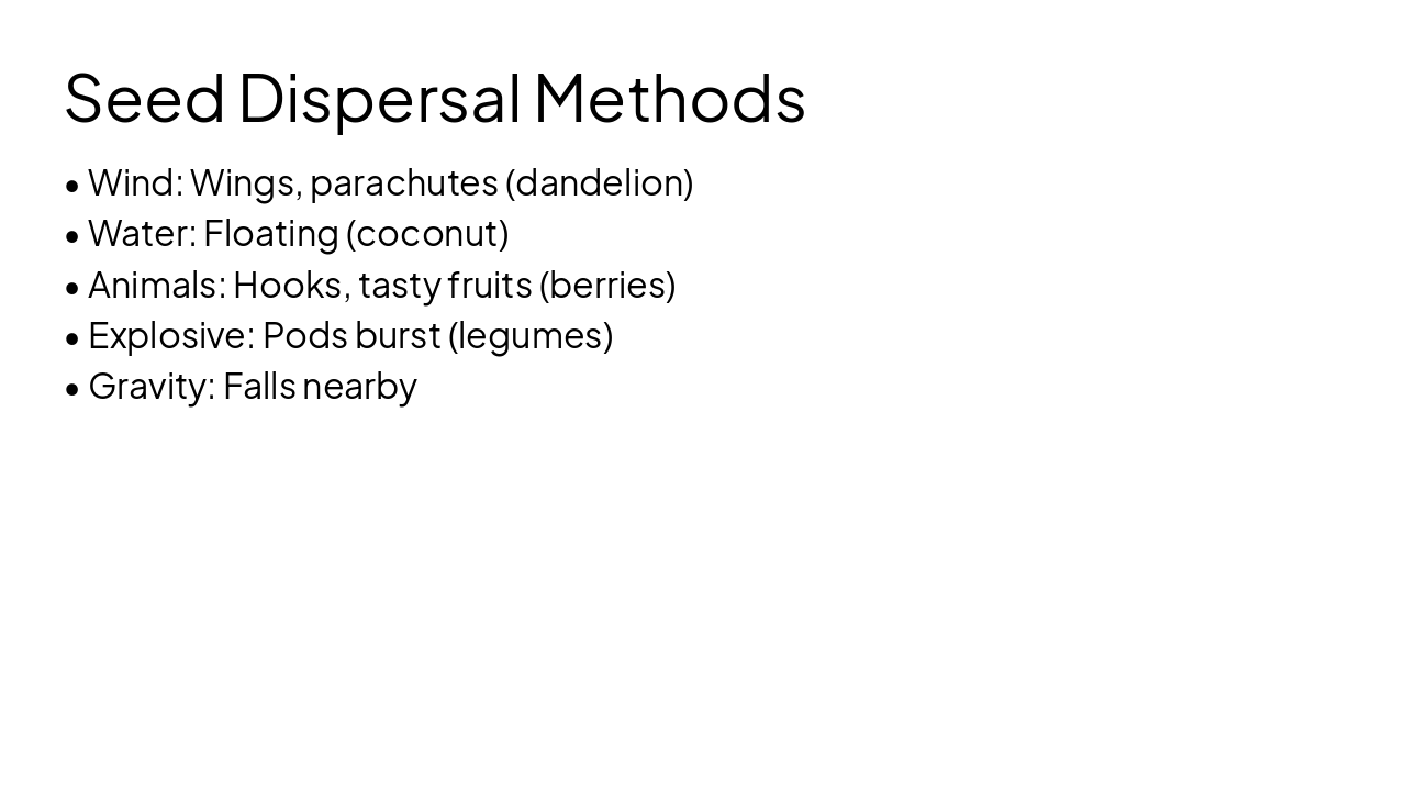 Slide 11 - Seed Dispersal Methods