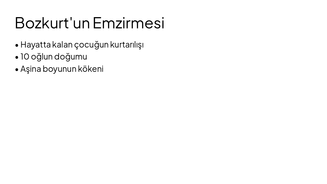 Slide 9 - Bozkurt'un Emzirmesi