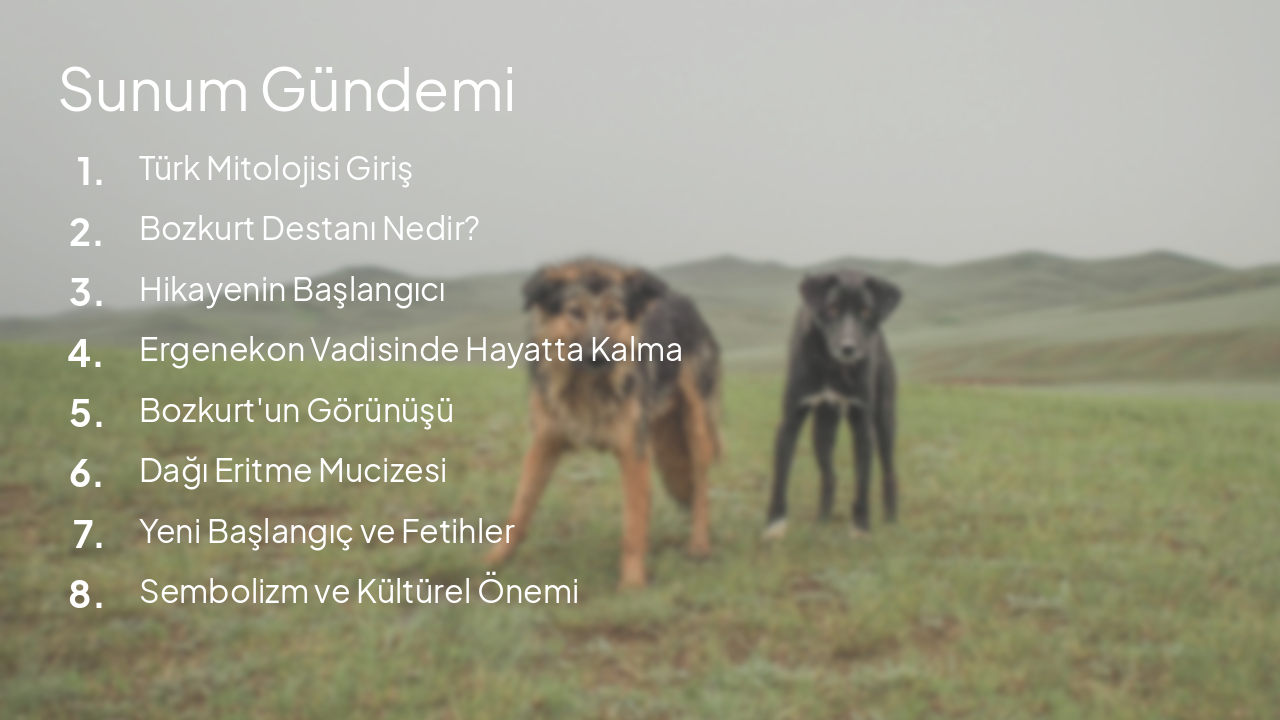 Slide 2 - Sunum Gündemi