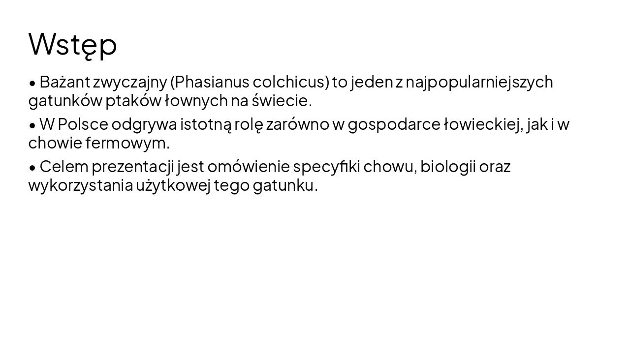 Slide 4 - Wstęp