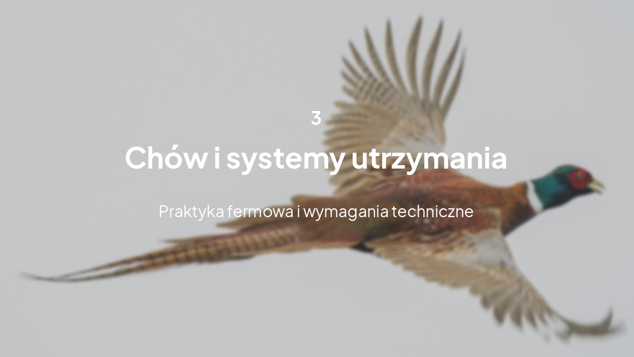 Slide 9 - Chów bażanta