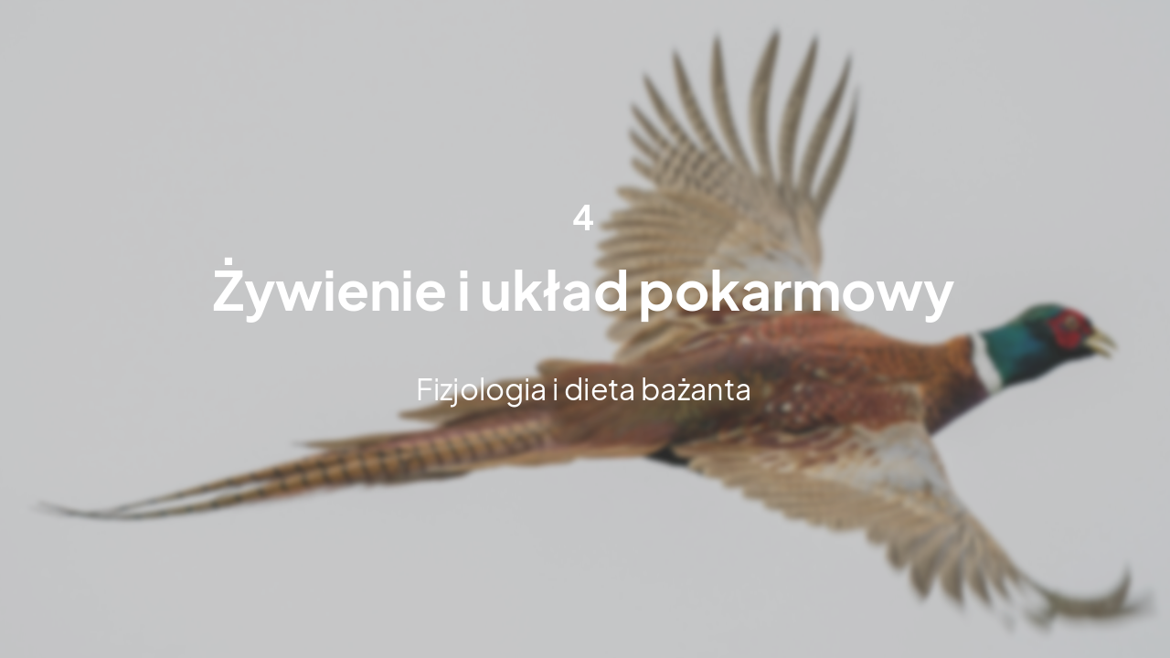 Slide 12 - Żywienie i układ pokarmowy