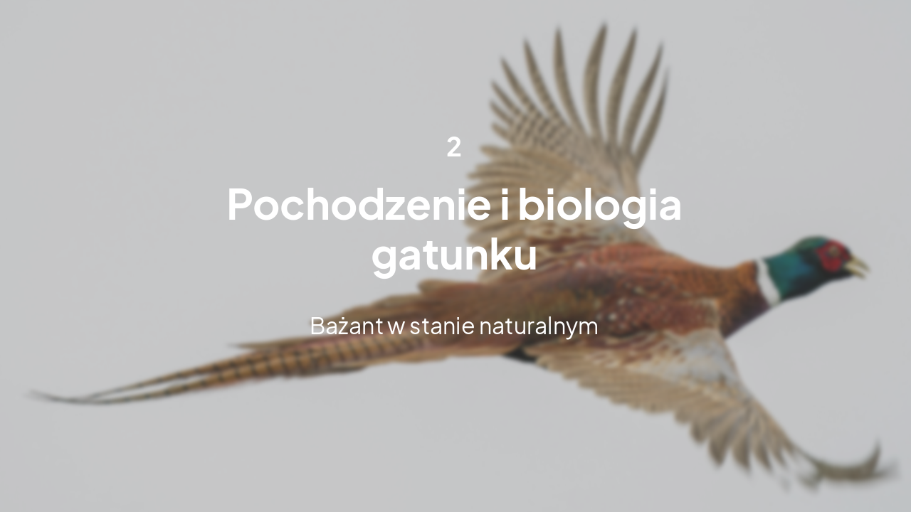 Slide 6 - Pochodzenie i biologia
