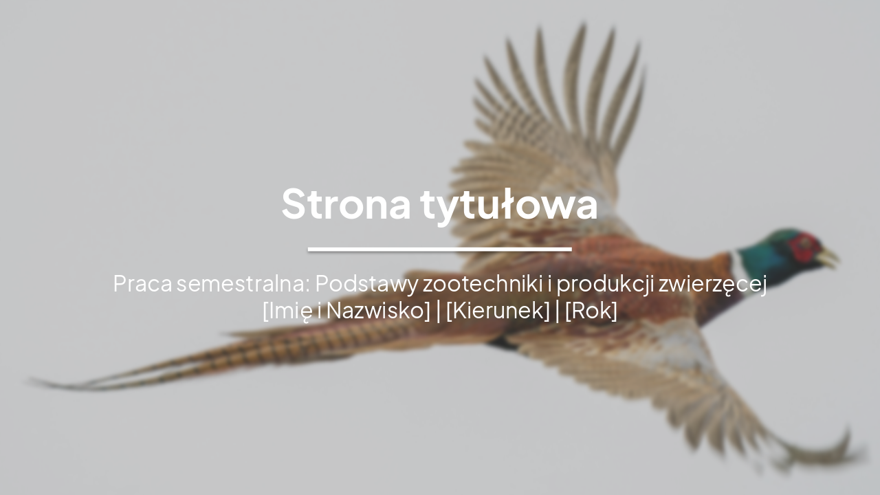 Slide 1 - Strona tytułowa