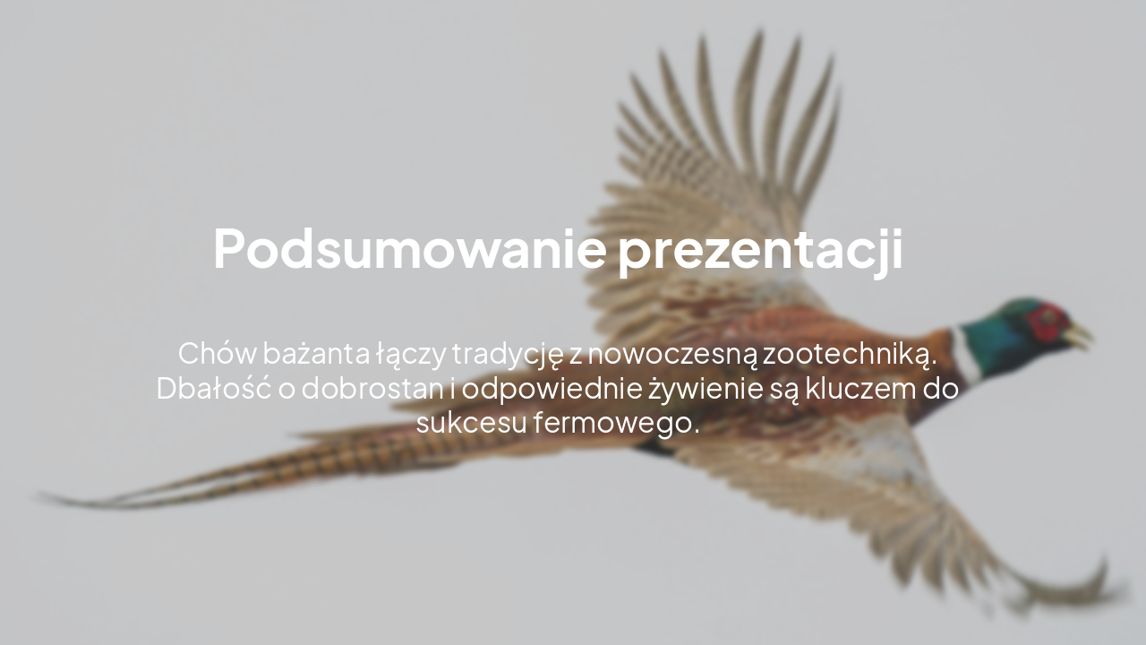 Slide 18 - Podsumowanie