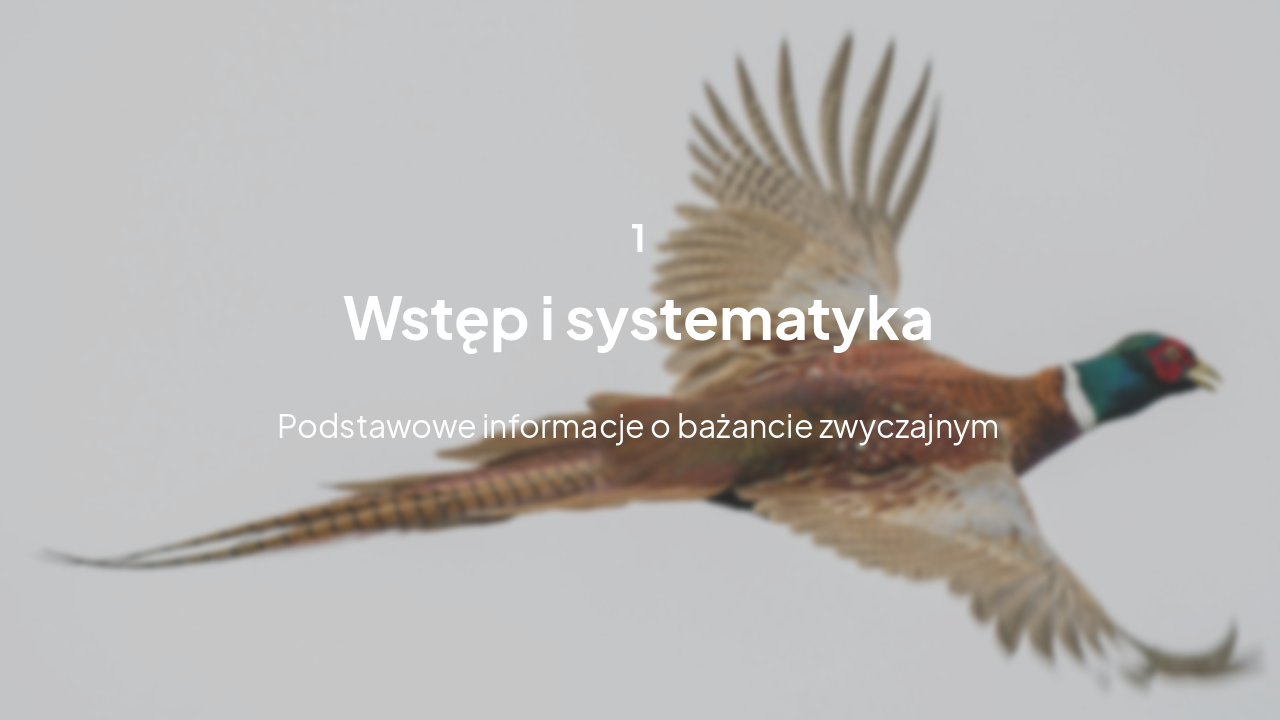 Slide 3 - Wstęp i systematyka