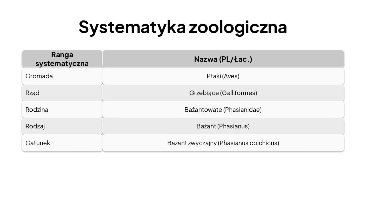 Slide 5 - Systematyka zoologiczna
